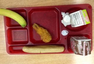 Michelle O School Lunches Among Worst In World - Gallery | eBaum's World