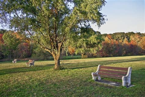 Park Benches stock photo. Image of bench, grass, park - 21931540