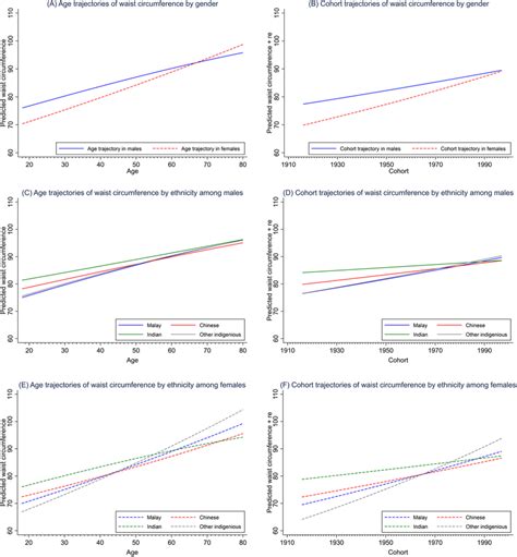 Waist circumference across age and cohort, by sex and ethnicity From ...