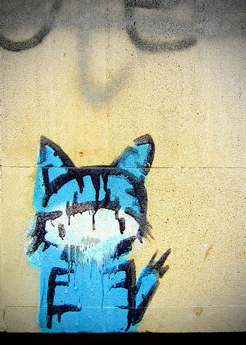 Cat Graffiti