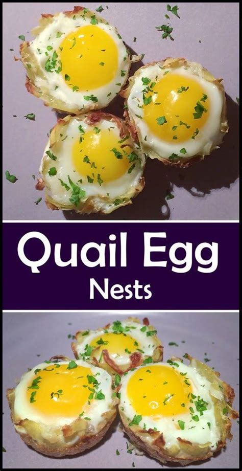 10 Best Quail Eggs Recipes