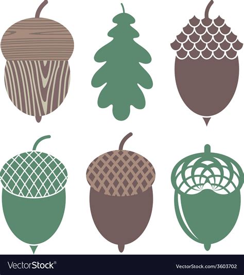 Acorn Royalty Free Vector Image - VectorStock