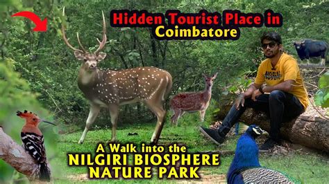 Hidden place in Anaikatti || Coimbatore tourist places || NILGIRI BIOSPHERE NATURE PARK - YouTube