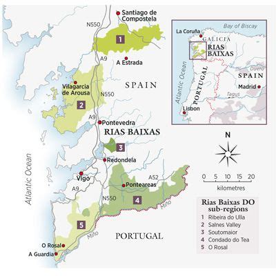 Rías Baixas grows up - Decanter | Wine map, Wine education, Wine tasting tours