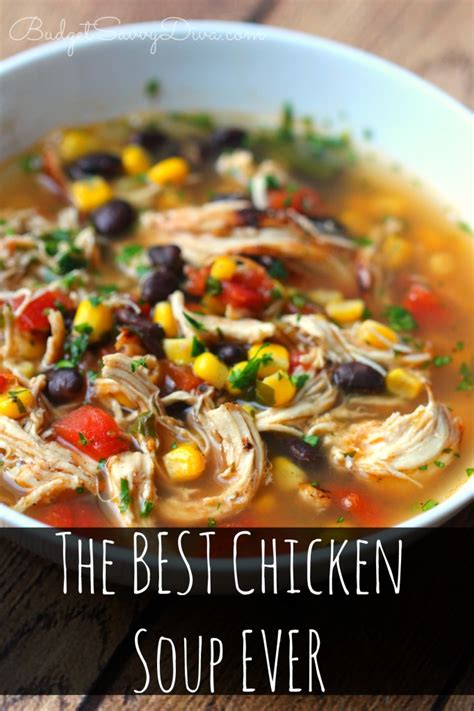 The BEST Chicken Soup Ever Recipe - Budget Savvy Diva