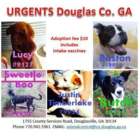 Save the dogs and cats of Douglas county! Share!@ adopt!! | Adoption ...