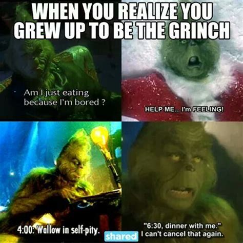 Yup me and the grinch are basically related | Grinch memes, Christmas humor, Christmas memes