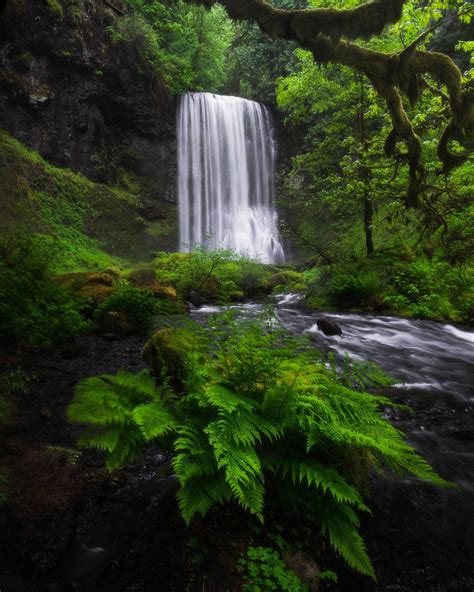 5 things you didn’t know about rainforests | World Economic Forum