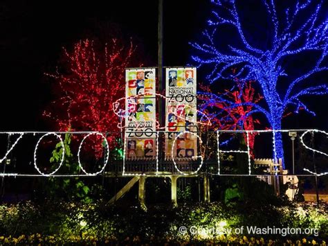 Zoo Lights DC - The Unofficial Guides