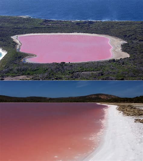 Fascinating Look at the Pink Lake Hillier Off the South Coast of ...