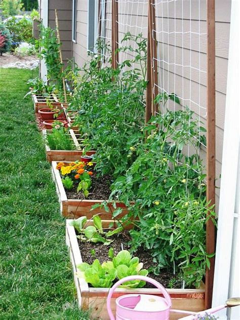 Raised vegetables beds against a wall or fence with trellis | Backyard vegetable gardens ...