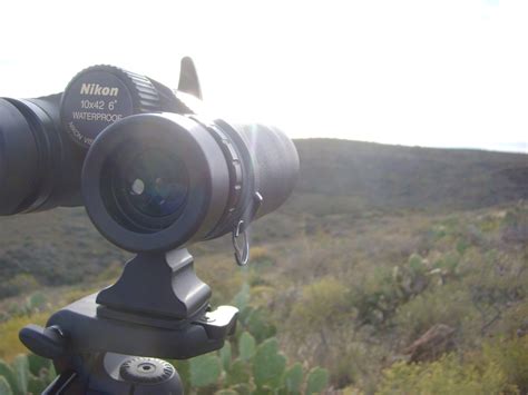 Rambling Review – Nikon Monarch 10x42 Binoculars - Arizona ...