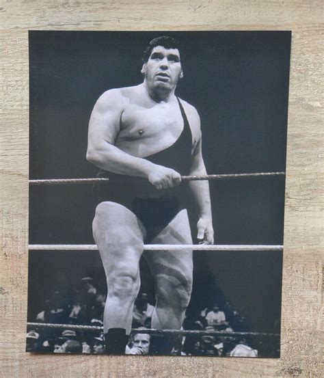 Wrestling WWF WWE Andre the Giant 8x10 Photo | #4545445039