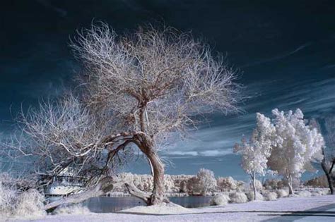 How To Shoot Infrared - What is Infrared Photography - What Digital Camera