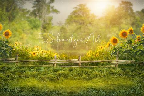 Sunflower Field Digital Backdrop for Photographers. Instant Download. Abstract Summer Yellow ...