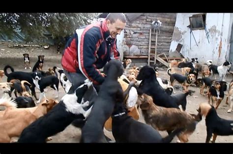 Watch: 450 dogs run free at Serbian rescue shelter - UPI.com