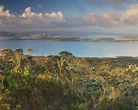 About Rangitoto - Rangitoto Island Historic Conservation Trust