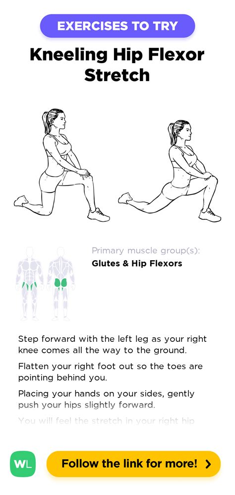 Kneeling Hip Flexor Stretch – WorkoutLabs Exercise Guide