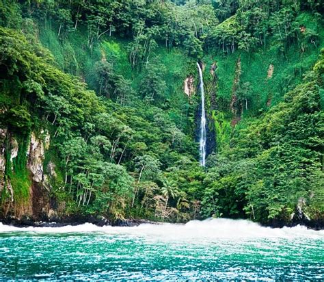 A $1 Billion Treasure Is Buried On This Island In Costa Rica (And You Will Never Find It); Jim ...