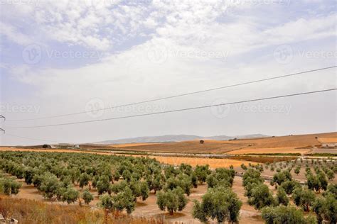 Arid landscape view 14788461 Stock Photo at Vecteezy