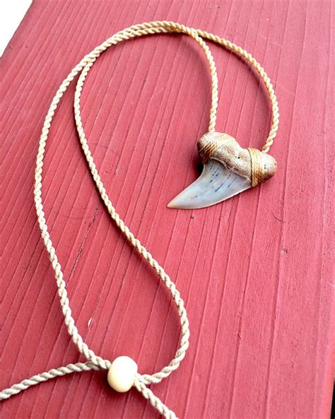 Account Suspended | Shark teeth jewelry, Shark tooth necklace, Necklace