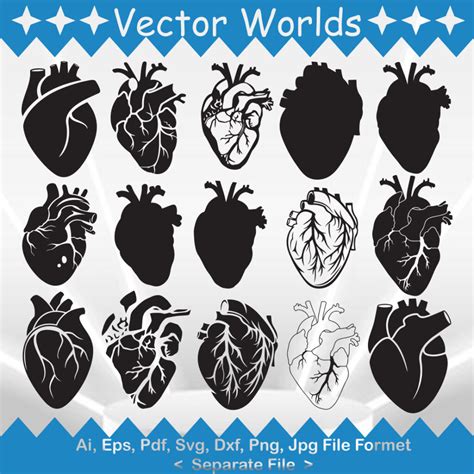 Human Heart SVG Vector Design - MasterBundles