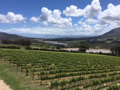 South Africa Wine Tour - exploring Hemel-en-Aarde - Wine Tours and Wine Tasting Holidays