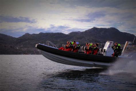 Stavanger: Lysefjord Sightseeing Boat Tour to Pulpit Rock | GetYourGuide