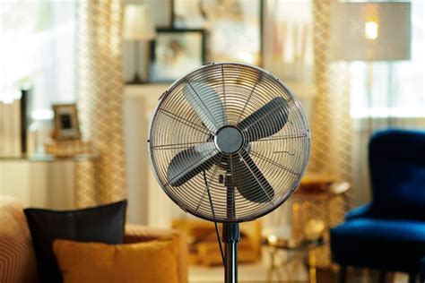 Best Quiet Pedestal Fans of 2024: Versatile & Noise-Free Ventilation