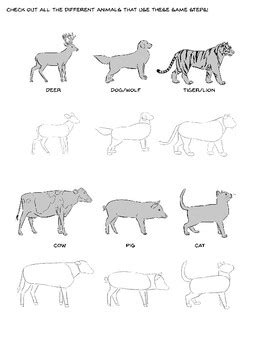 How to draw 4 legged animals (quadrupeds) by Annie Cox Draws | TpT