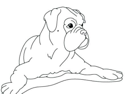 Boxer Dog Coloring Pages at GetColorings.com | Free printable colorings pages to print and color