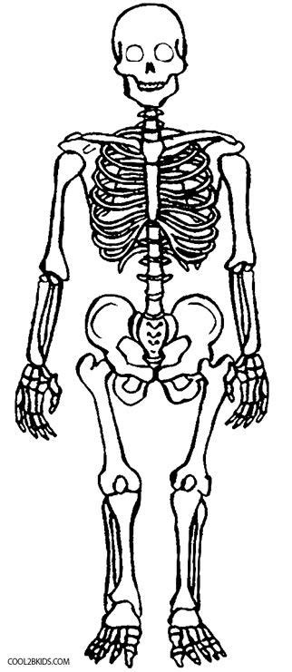 Skeleton Coloring Pages For Preschoolers – Thekidsworksheet