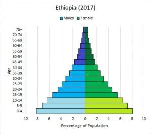 How Reproductive Age-Groups Impact Age Structure Diagrams | Population ...