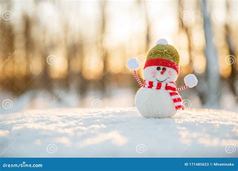 Snowman in Winter Wonderland Scene. Christmas, New Year Postcard Design. Wintertime Magic Stock ...