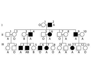 Solved Nail-patella syndrome is an autosomal disorder | Chegg.com