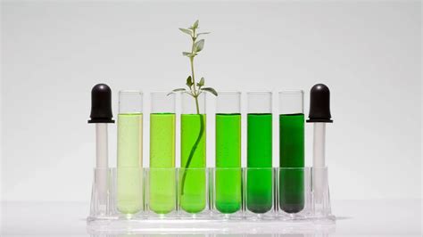 What is Green Chemistry and Why is it Important - VelocityEHS