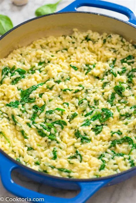 Classic Spinach Risotto Recipe (VIDEO) | COOKTORIA