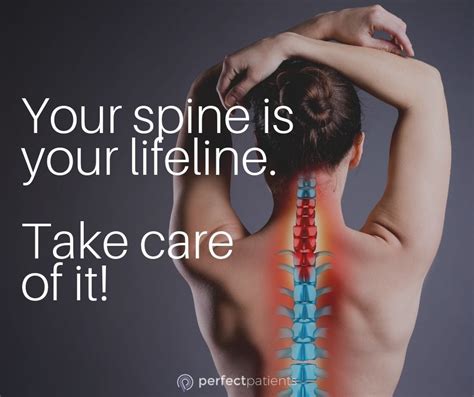 Are you taking care of your spine? Chiropractic Quotes, Chiropractic ...