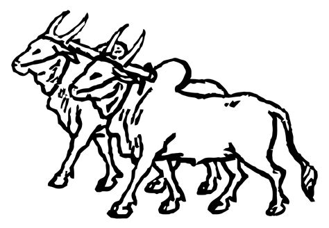 Ox clipart ox wagon, Ox ox wagon Transparent FREE for download on WebStockReview 2024