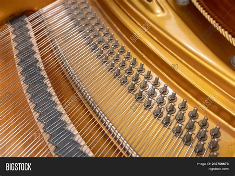 Grand Piano Strings. Image & Photo (Free Trial) | Bigstock