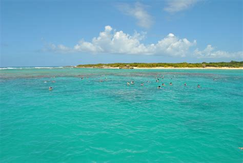 Snorkeling in Puerto Rico | Happy places, Beach, Outdoor