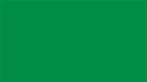 Fern Green Color Color Palette Ideas - vrogue.co