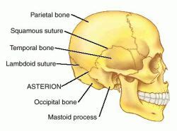 asterion - meddic