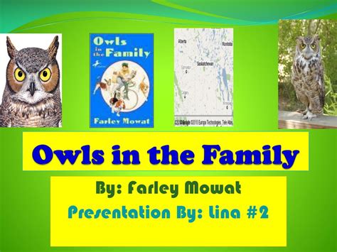 PPT - Owls in the Family PowerPoint Presentation, free download - ID ...