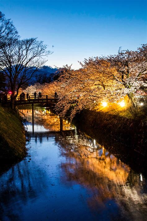 Matsumoto Castle: The Best Place To See Cherry Blossoms In Japan - The ...