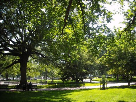 Lafayette Square | Washington DC