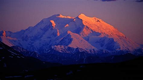 Denali Winter – Telegraph