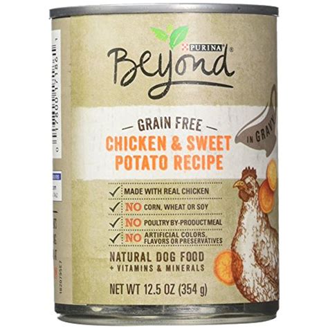 Purina Beyond Grain Free Dog Food - Chicken and Sweet Recipe 12.5 oz ...