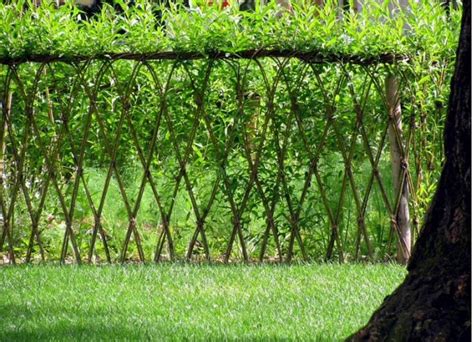 Pin by Rowena Clark on Sunrise Garden Design | Willow fence, Living willow fence, Natural fence