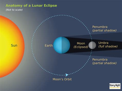 June 26, Partial Lunar Eclipse | Adequate Bird